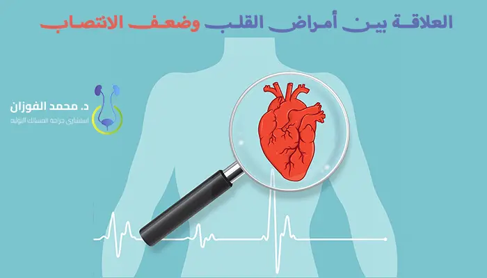 العلاقة بين أمراض القلب وضعف الانتصاب