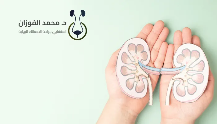 متى يحتاج المريض إلى زراعة كلى؟